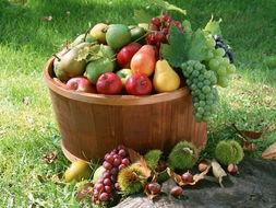 娱乐吃瓜场地图片高清大图,高清大图揭秘网红吃瓜场地